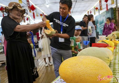 丝路名城吃哈密瓜,品味千年古城的甜蜜诱惑