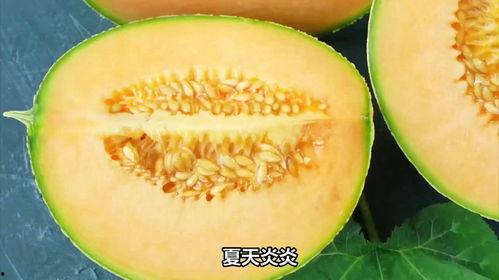 播放哈密瓜的吃法怎么吃,解锁夏日清新口感