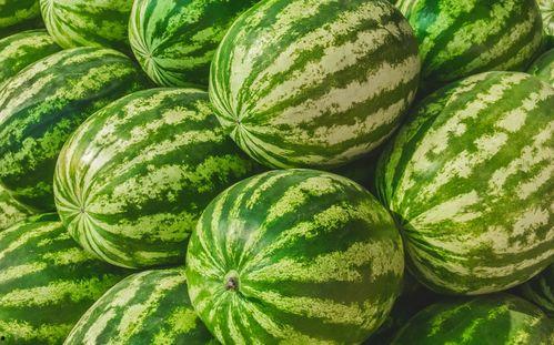 望江路吃瓜,夏日吃瓜盛宴，品味生活百态