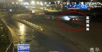 肇事司机吃瓜视频,一场意外的网络狂欢