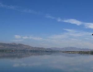 青云湖吃瓜,吃瓜群众的热议焦点