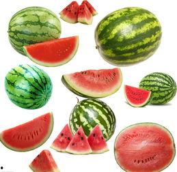 南视觉吃瓜,吃瓜群众的狂欢盛宴