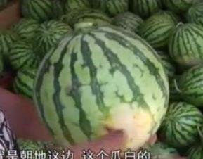 群众敲打吃瓜视频,揭秘网络热传视频背后的故事