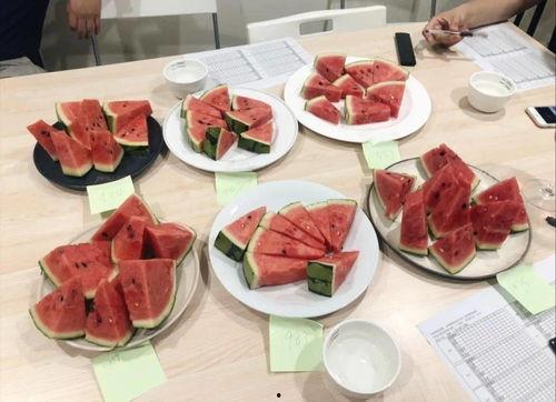 五百多万粉丝吃瓜,吃瓜狂欢，揭秘娱乐圈幕后风云