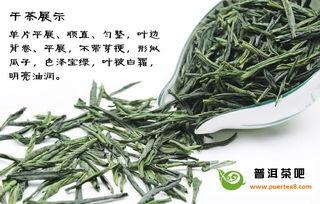 茶茶吃瓜全集书,揭秘娱乐圈背后的秘密与真相