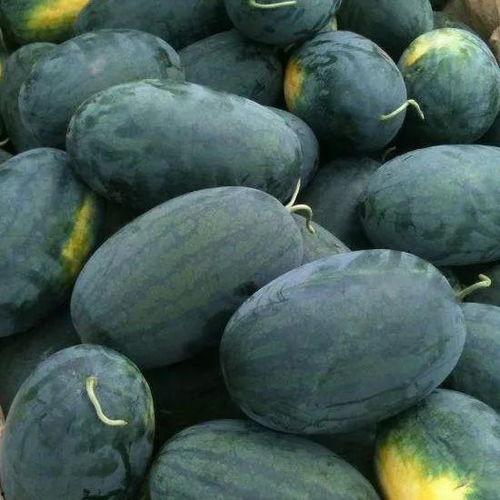 湖北吃瓜,探寻地方特色美食的魅力