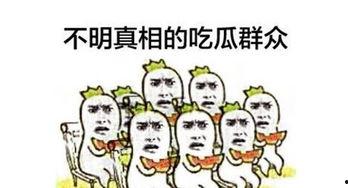 今日吃瓜群众网站,揭秘娱乐圈最新热点事件