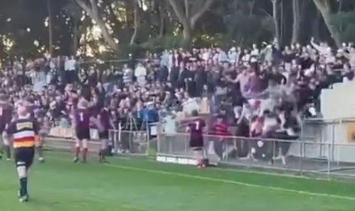 澳大利亚看台吃瓜,瓜田李下，观战风云