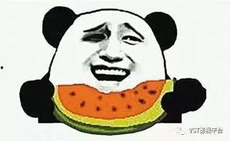 吃瓜群众张太太,揭秘娱乐圈那些事儿