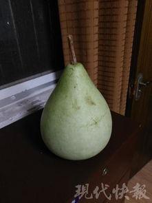 盐城吃瓜事件最近,一场网络舆论的风暴与反思