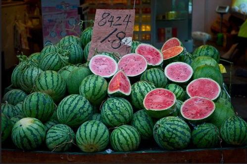 上海手帐集市吃瓜,一场手帐爱好者的“吃瓜”盛宴