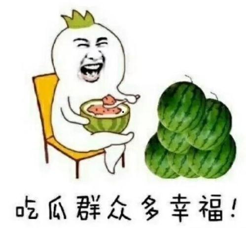 快乐吃瓜原