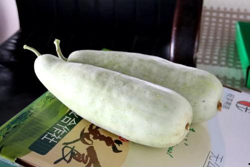 日照吃瓜地产,探寻日照特色吃瓜地之旅