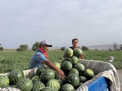 重庆渝北区跳楼吃瓜,悲剧背后，吃瓜群众的反思与警示