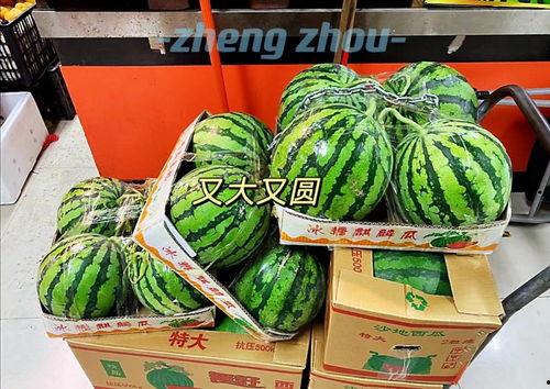 郑州阿飘吃瓜,揭秘网络热传事件背后的真相