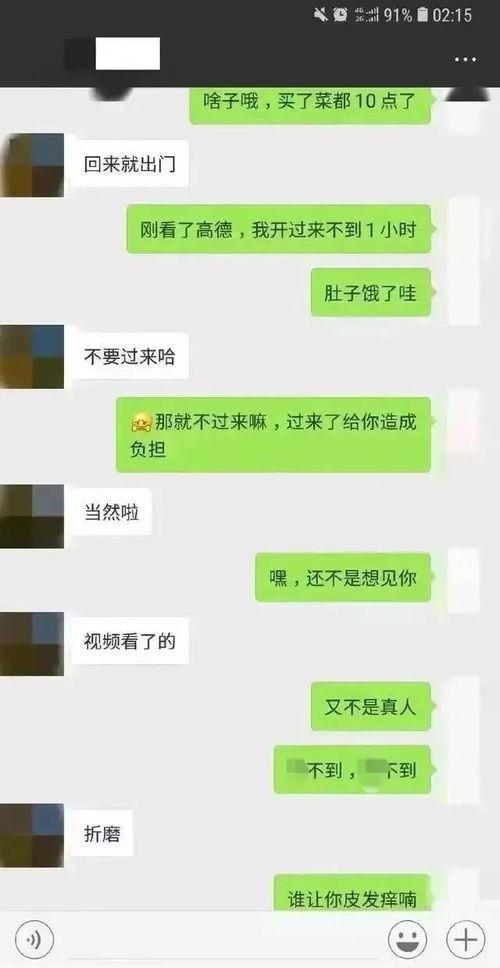 网络吃瓜聊天记录,揭秘热门话题背后的真相与笑料