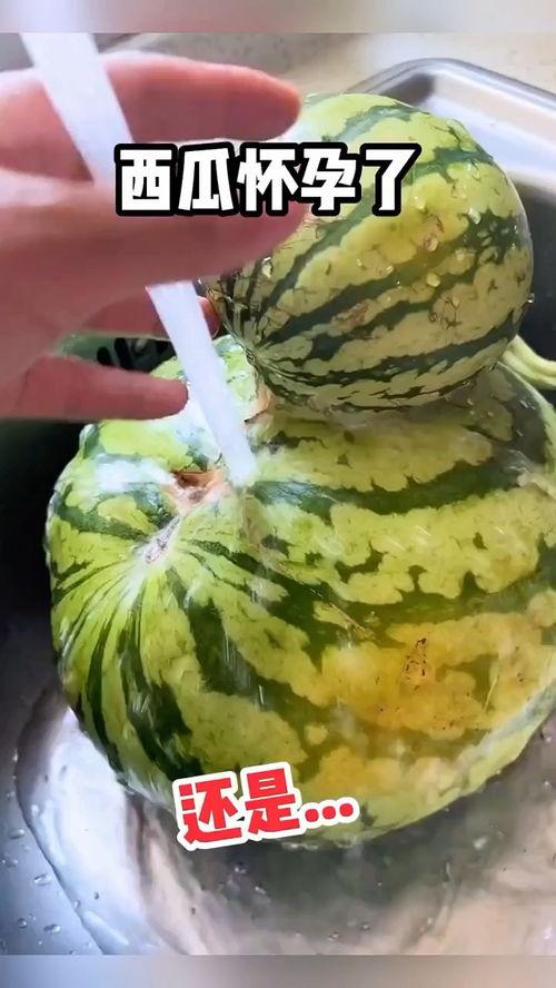 最新搞笑吃瓜,笑料百出！最新搞笑吃瓜事件大盘点