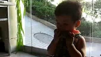 毛毛阿姨吃瓜,毛毛阿姨的瓜田奇遇记