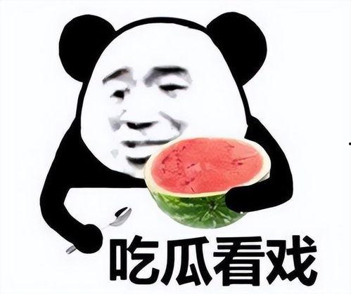 被窝吃瓜表情包,揭秘网络热图的趣味与内涵
