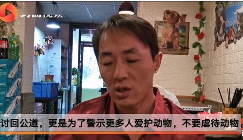 星期五吃瓜新闻,揭秘娱乐圈最新热点事件